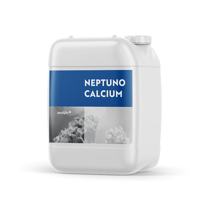 Neptuno Calcium - Medifer