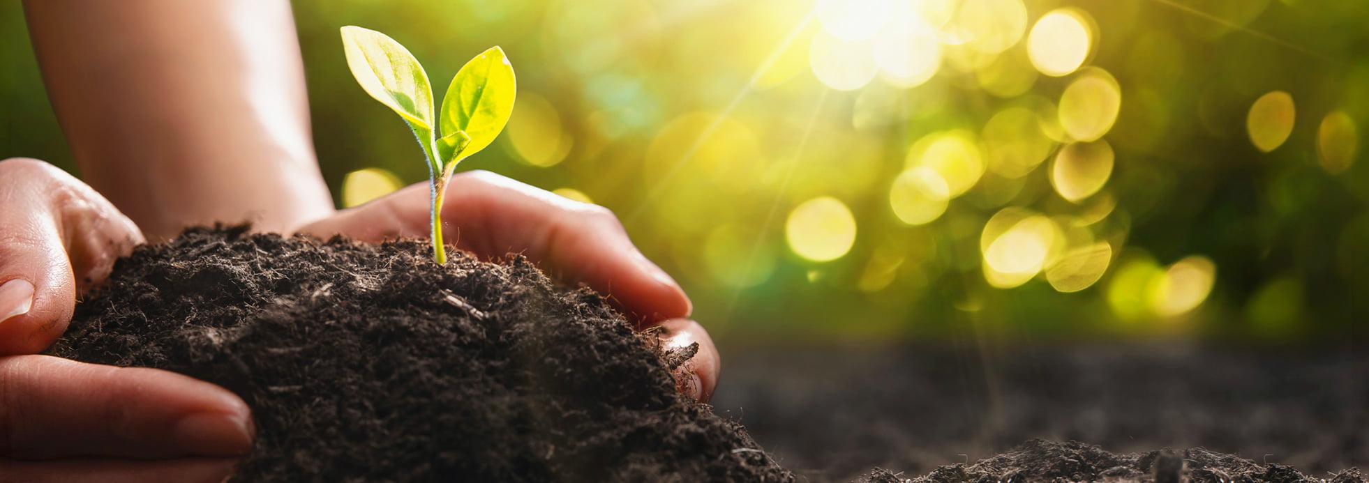 Commitment and Sustainability