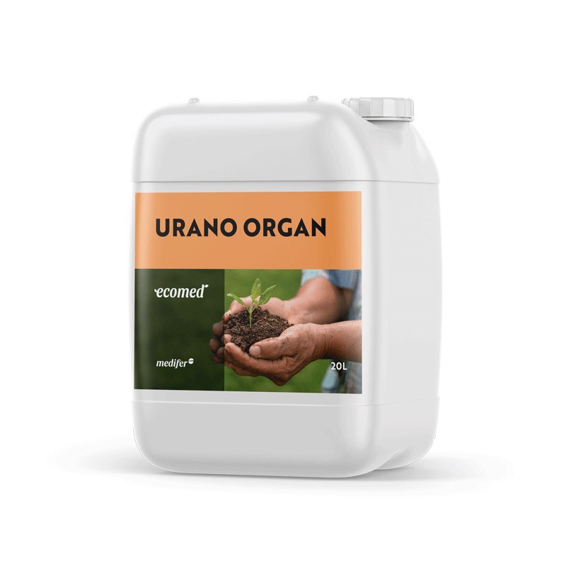 Ecomed Urano Organ Medifer