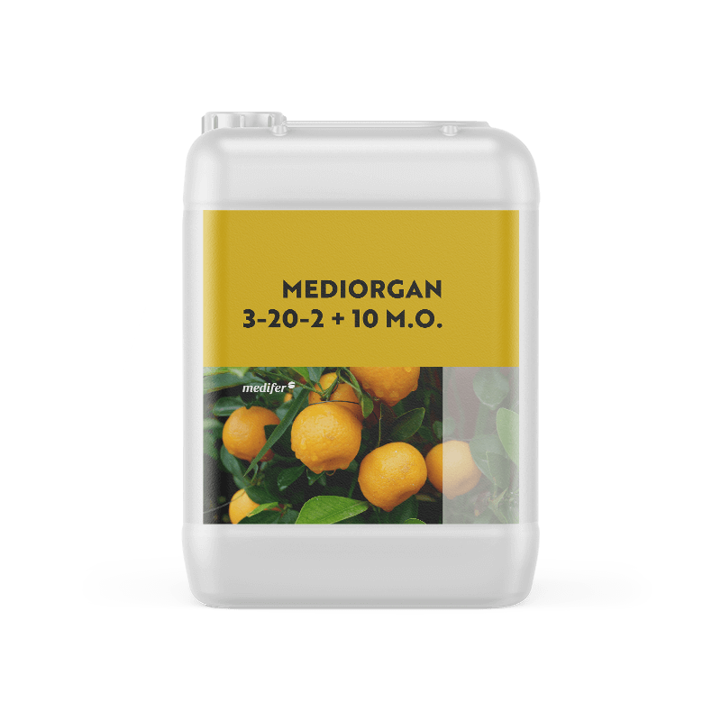 Mockup Mediorgan 3-20-2 Medifer