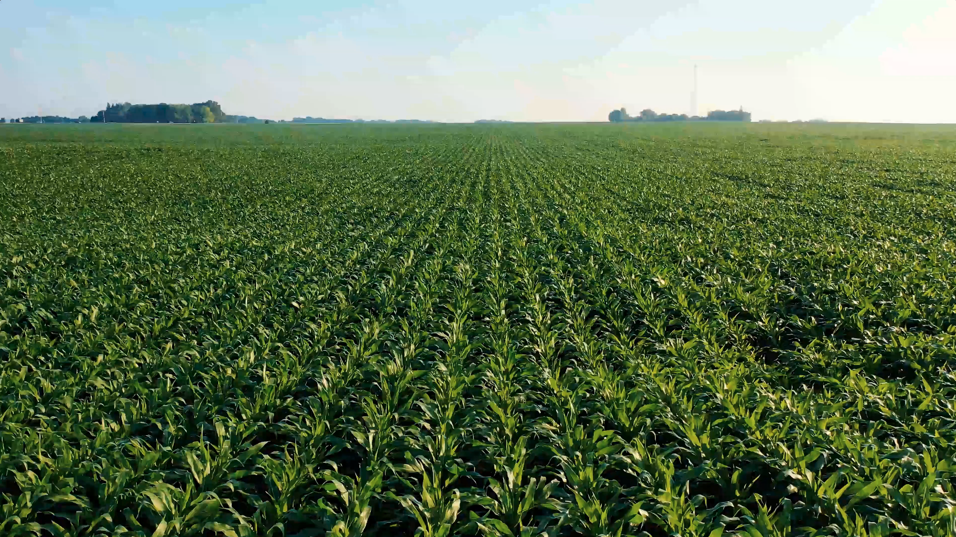 <b>50 años</b> apostando por una agricultura integral, sostenible y eficiente.