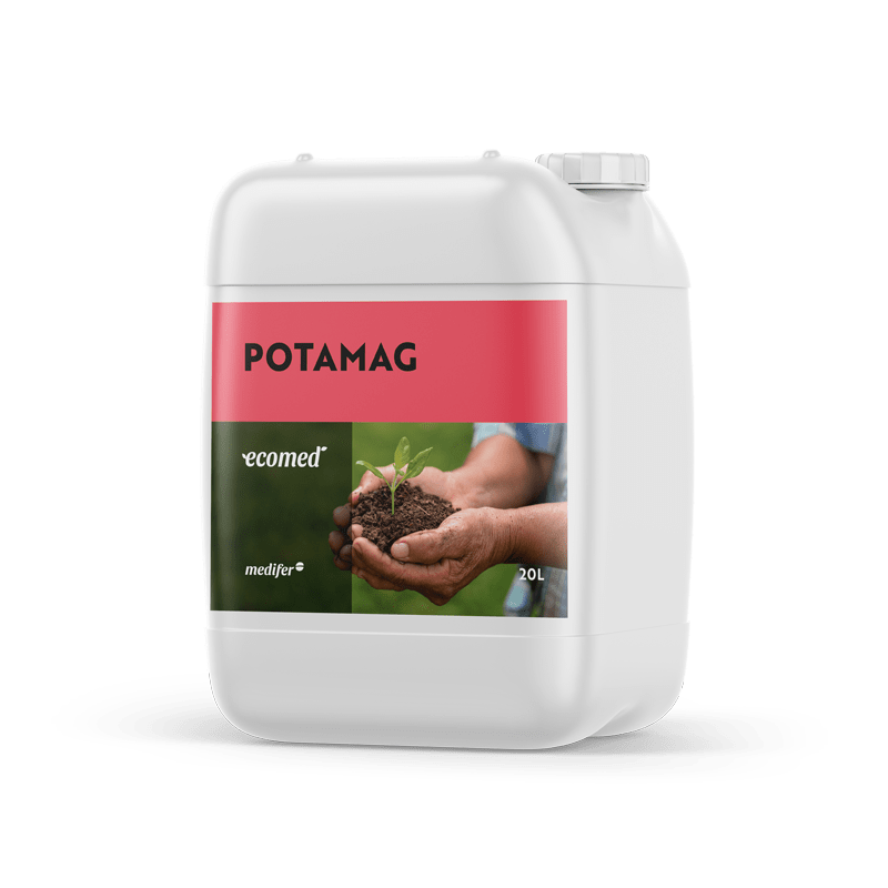 Ecomed Potamag Medifer