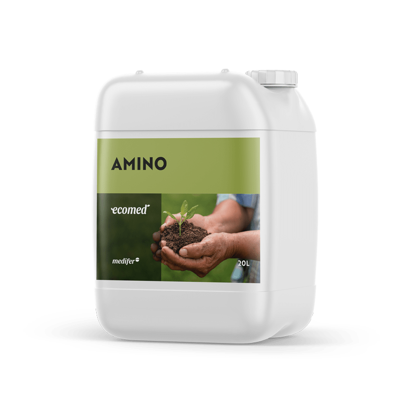 Ecomed Amino Medifer