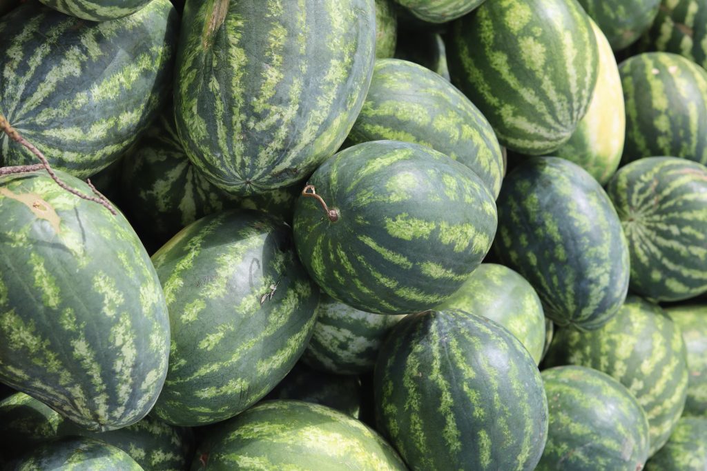 Cultivos de verano perfectos para plantar - Medifer